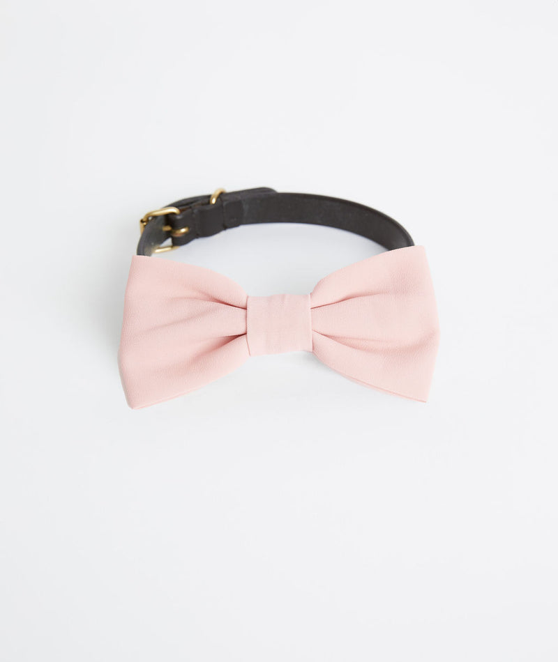 Dog Crepe Bow Tie