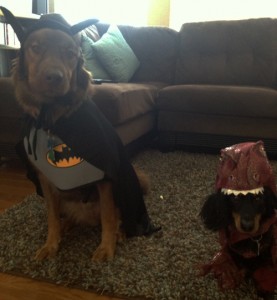 Batman and raptor dog costume charlie and mac