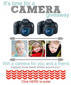crowdsourced camera giveaway