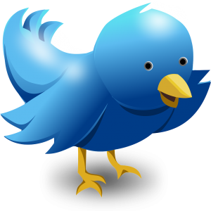 How to Become a Twitter Marketing Pro with $0 Budget