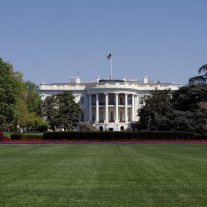 4 Things the White House Blog is Doing Right
