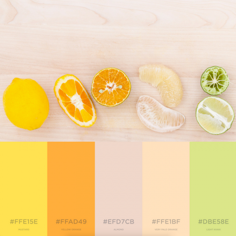 7 Branding Color Palettes Inspired By Summer