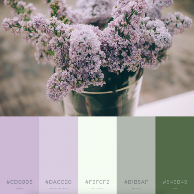 7 Branding Color Palettes Inspired By Spring